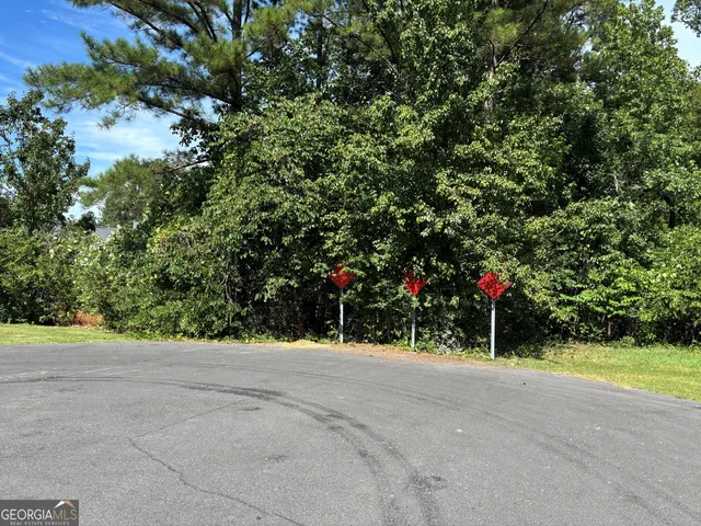 a view of a house with a yard and garage