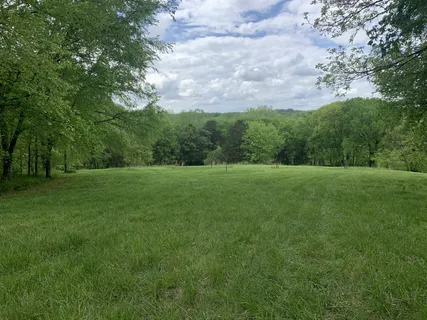 a view of grassy field with trees