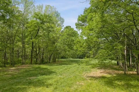 a view of outdoor space with deck and yard