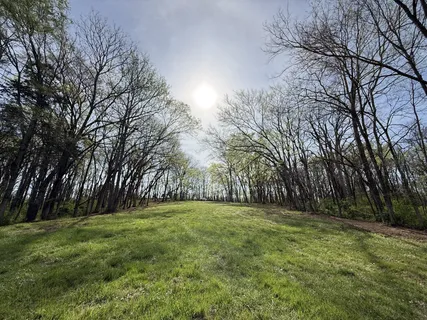 a view of outdoor space with trees all around