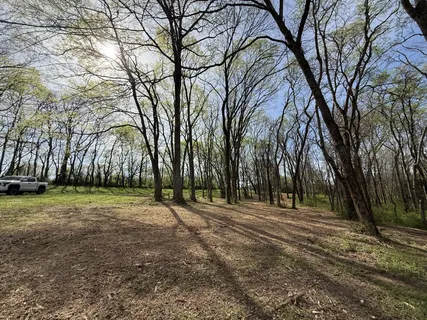 a backyard of a house with large trees