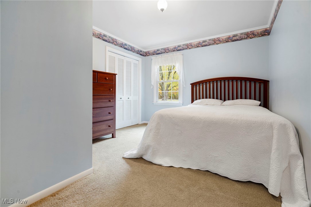 14265 Reeder Avenue Northeast Alliance, OH 44601 - Photo 14 of 39 Carpeted bedroom with baseboards and a closet