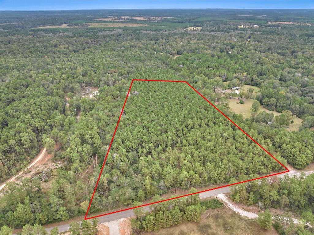 0 East Williams Road Conroe, TX 77303 - Photo 1 of 15 a view of a yard