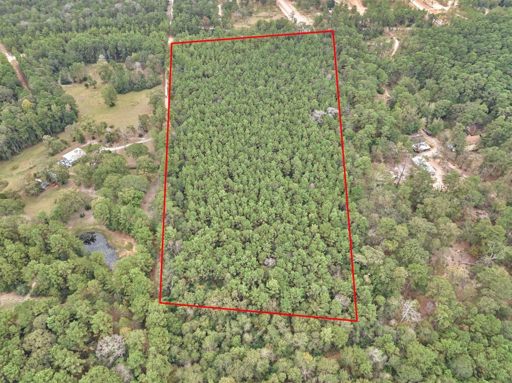 0 East Williams Road Conroe, TX 77303 - Photo 12 of 15