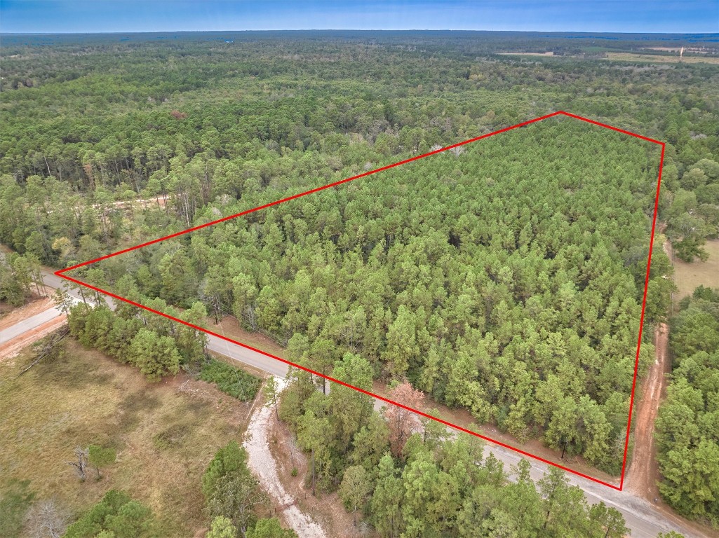 0 East Williams Road Conroe, TX 77303 - Photo 13 of 15 a view of a forest from a balcony
