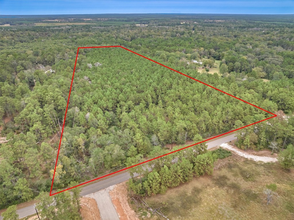 0 East Williams Road Conroe, TX 77303 - Photo 14 of 15 a view of a field with an outdoor space