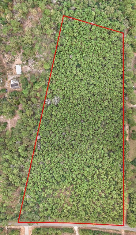0 East Williams Road Conroe, TX 77303 - Photo 15 of 15 a view of a yard