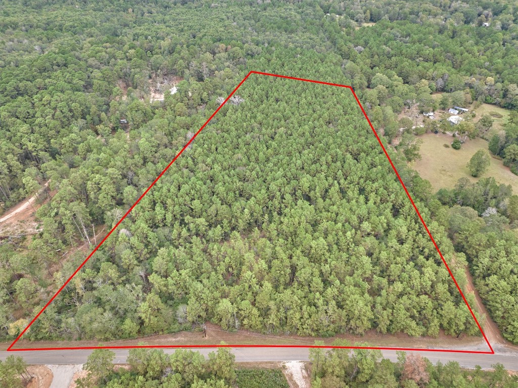 0 East Williams Road Conroe, TX 77303 - Photo 3 of 15 a view of a yard with an outdoor space
