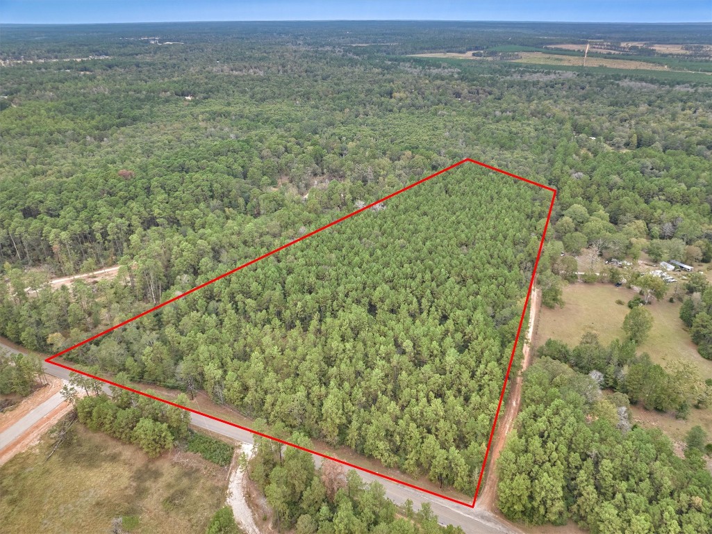 0 East Williams Road Conroe, TX 77303 - Photo 4 of 15 a view of a lush green forest with a lake