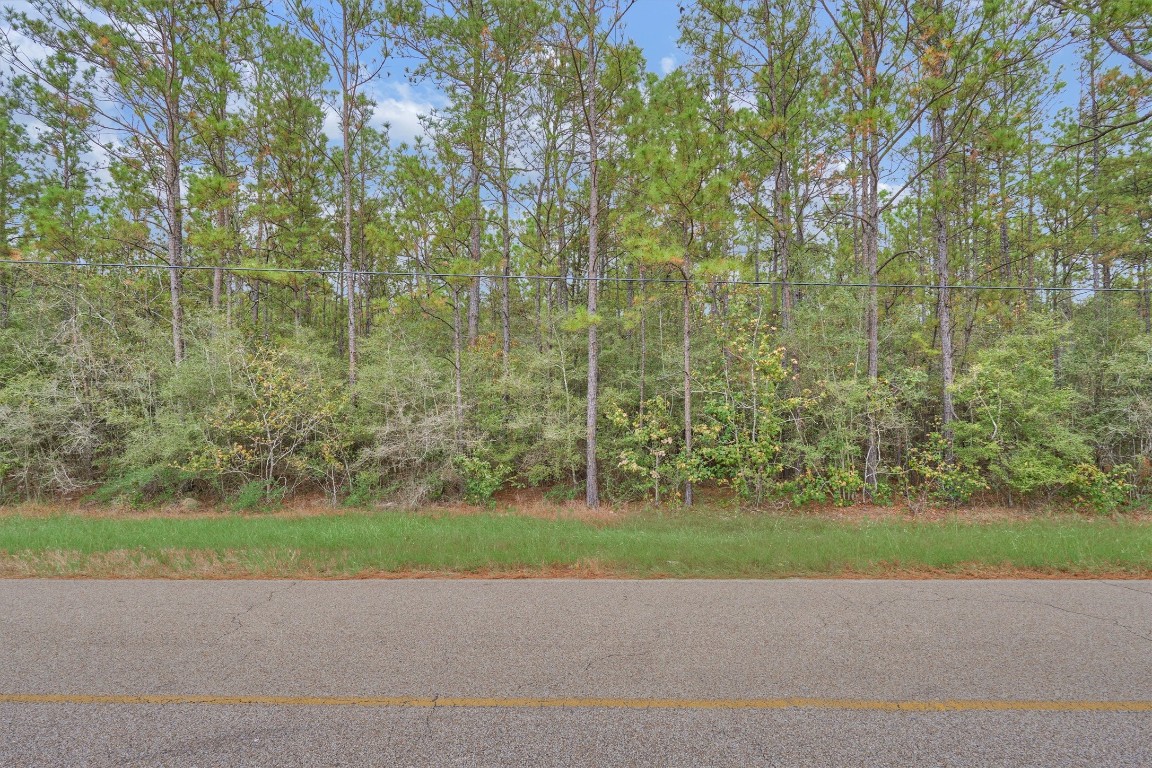 0 East Williams Road Conroe, TX 77303 - Photo 5 of 15 a view of a garden with a house
