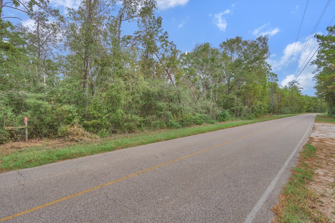 0 East Williams Road Conroe, TX 77303 - Photo 6 of 15 a view of a road with a yard