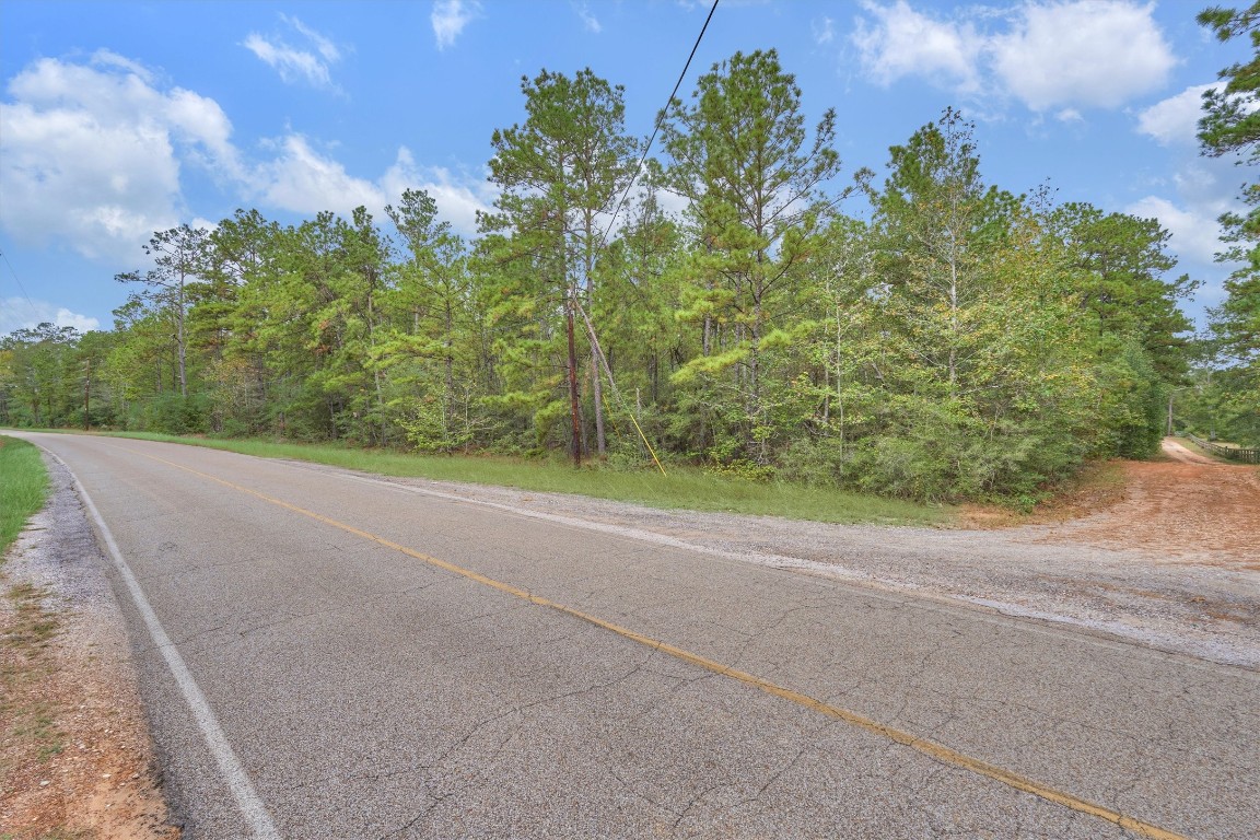0 East Williams Road Conroe, TX 77303 - Photo 7 of 15 a view of a yard with a house