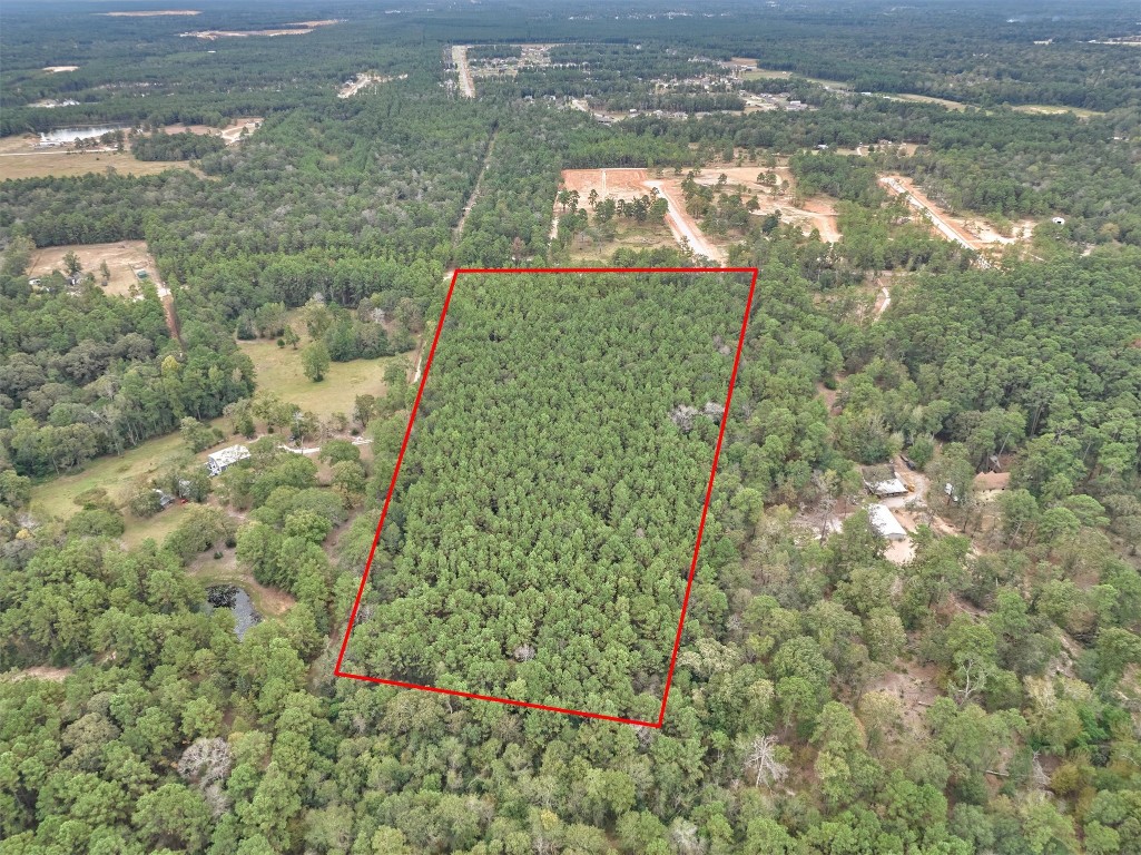 0 East Williams Road Conroe, TX 77303 - Photo 8 of 15 a view of a yard
