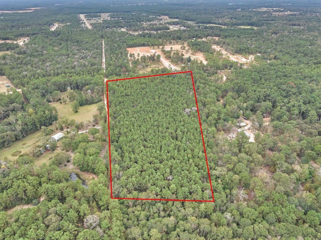 0 East Williams Road Conroe, TX 77303 - Photo 9 of 15 a view of garden