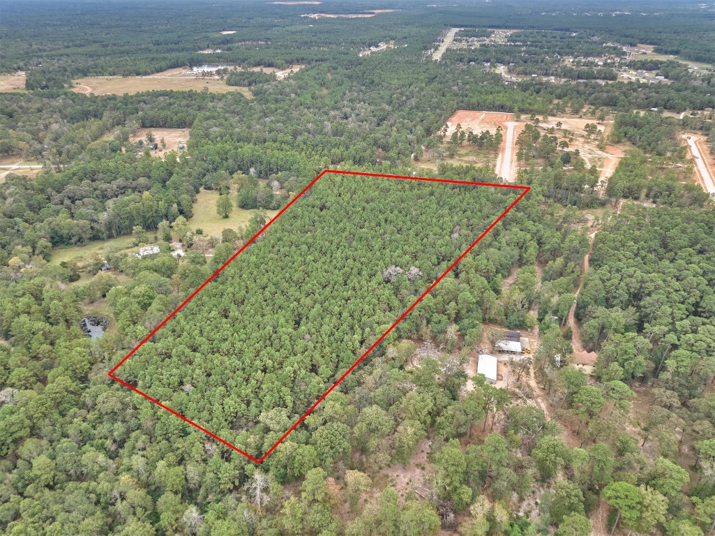 0 East Williams Road Conroe, TX 77303 - Photo 10 of 15 a view of a green yard from a balcony