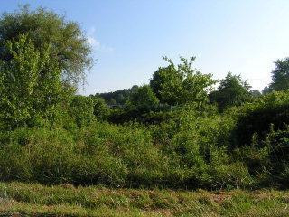 0 Rough Creek Road London, KY 40741 - Photo 1 of 1 Photo 1