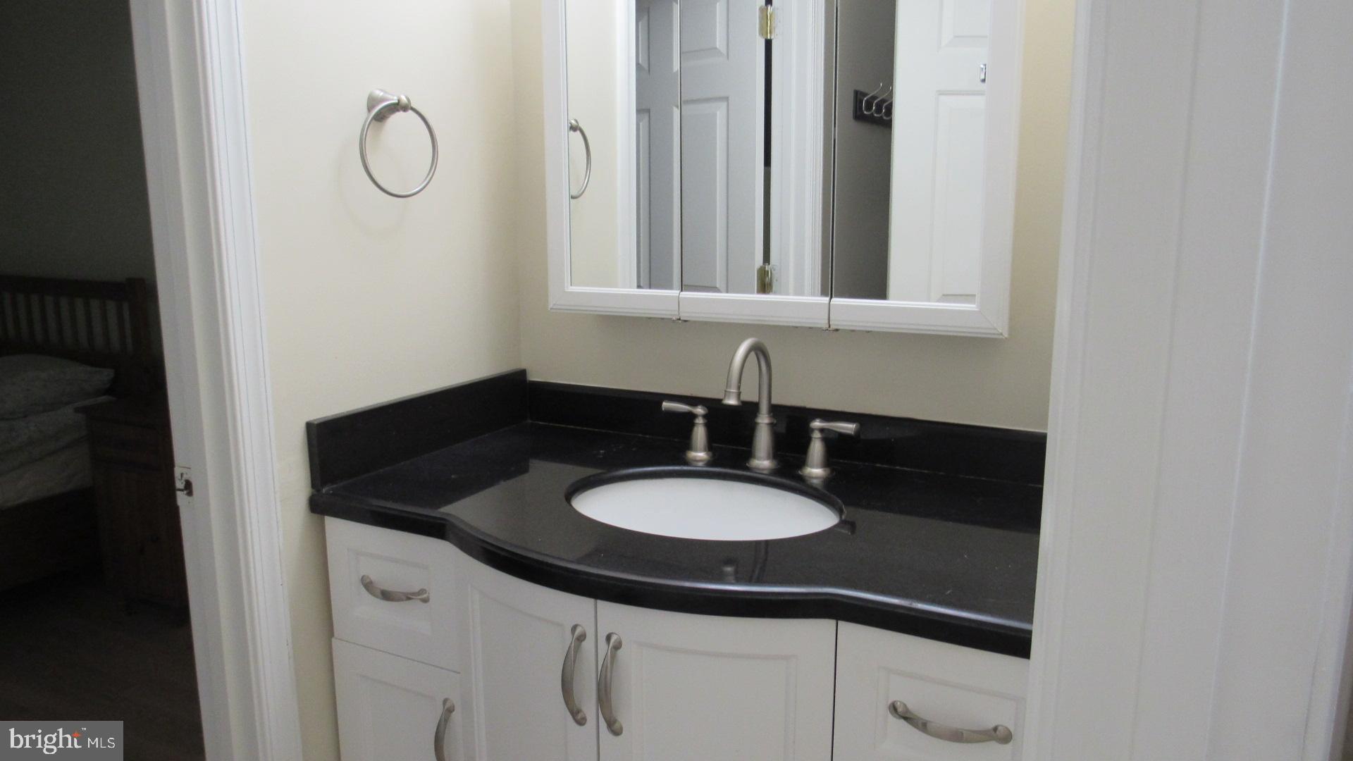 11753 Mossy Creek Lane Reston, VA 20191 - Photo 16 of 29 Main bath vanity upper level