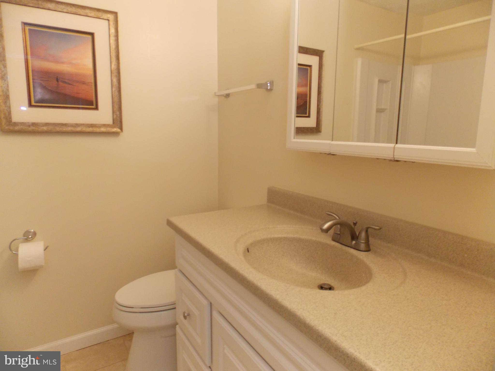 11753 Mossy Creek Lane Reston, VA 20191 - Photo 23 of 29