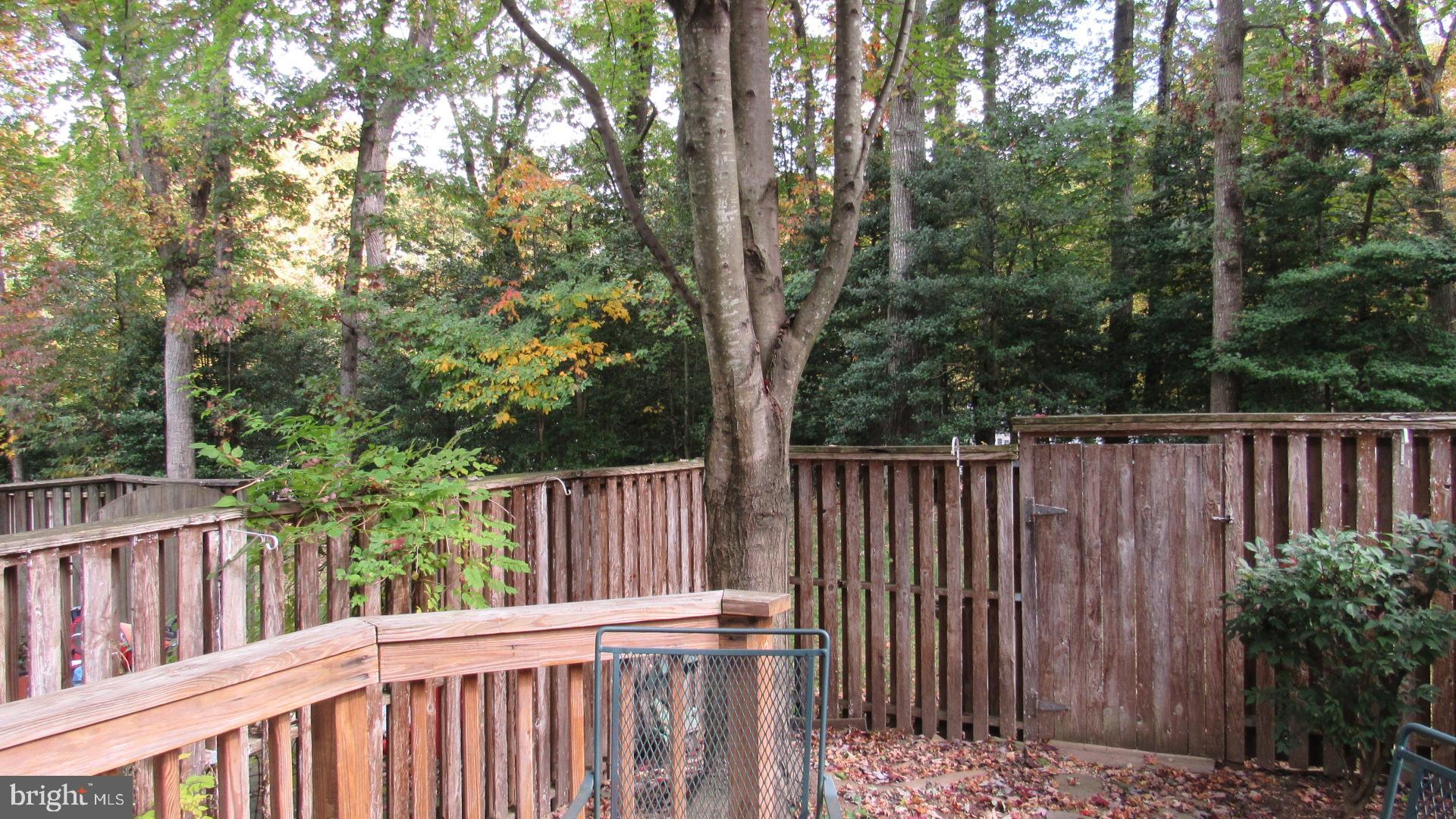 11753 Mossy Creek Lane Reston, VA 20191 - Photo 29 of 29 Backs to trees