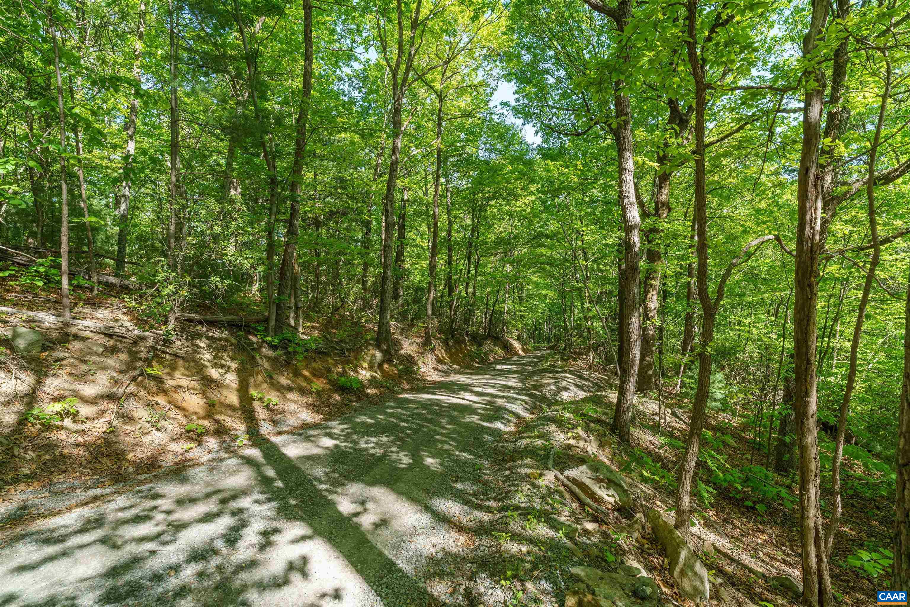 Lot A Brokenback Mountain Road Dyke, VA 22935 - Photo 13 of 15