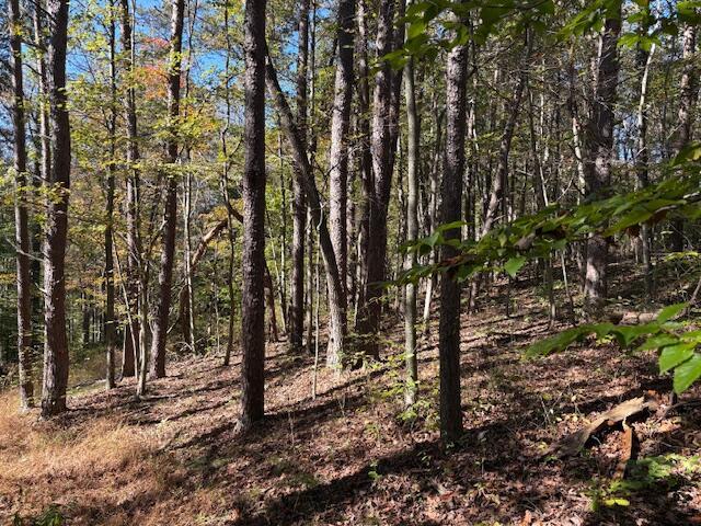 9847 Stage Road Logan, OH 43138 - Photo 6 of 10 IMG_3146