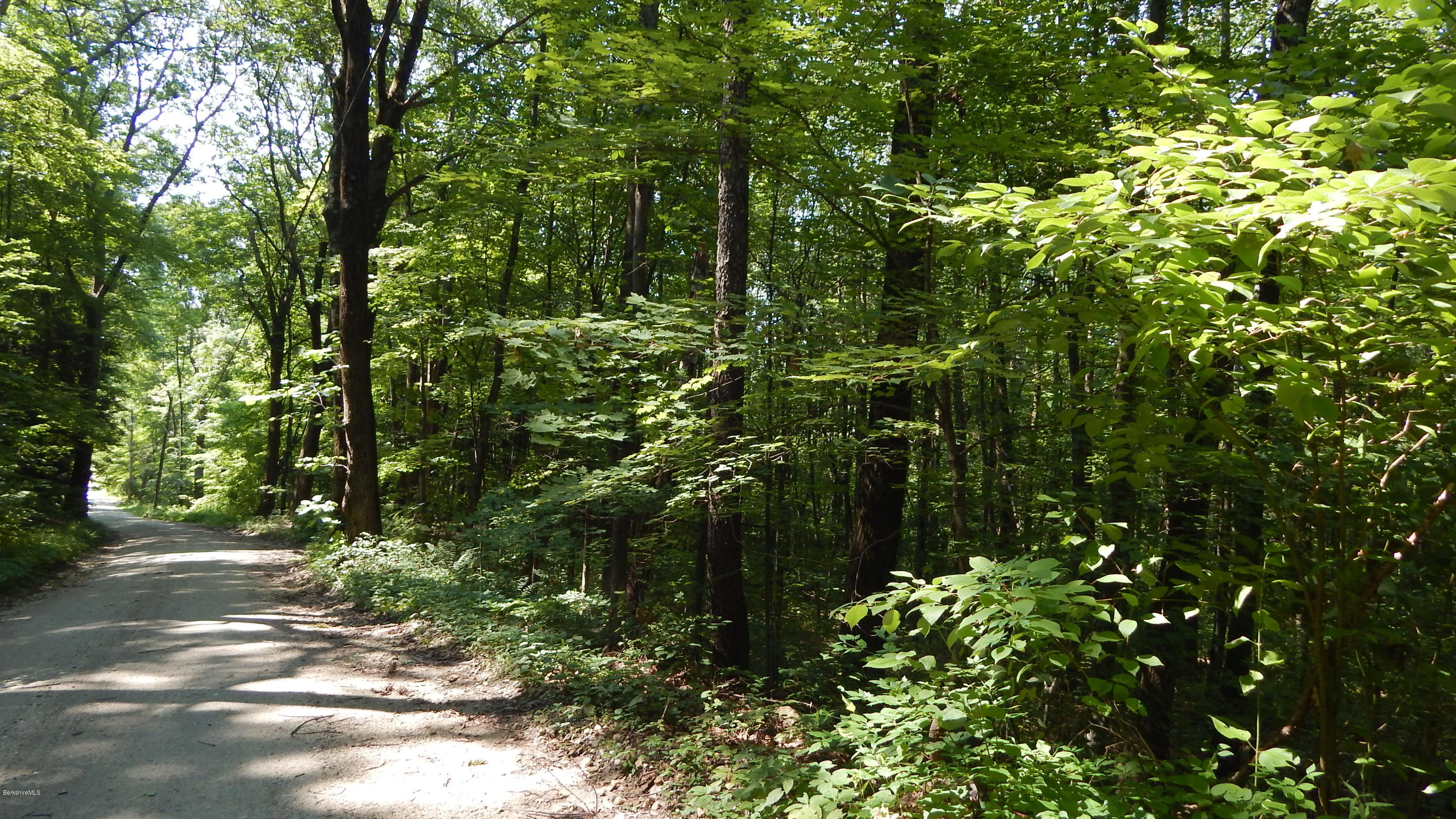 Rhoades & Bailey Road Southfield, MA 01259 - Photo 14 of 15 DSCN2999