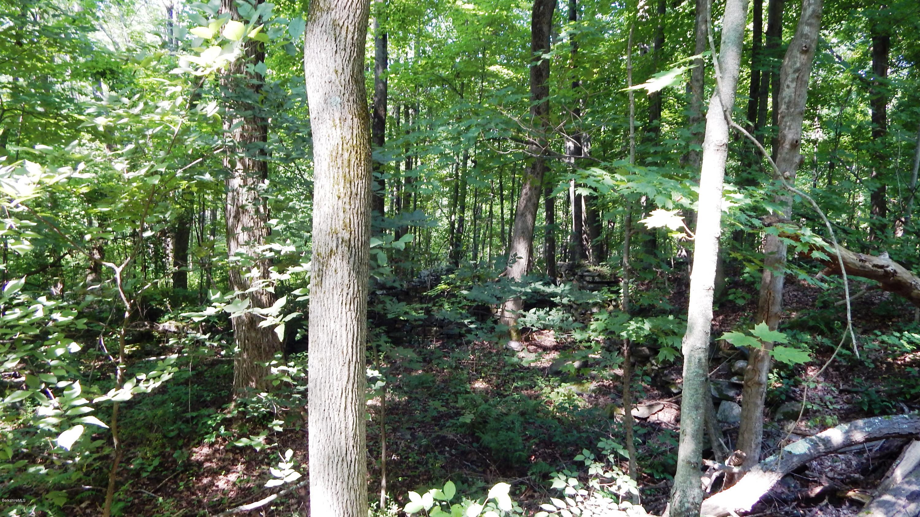 Rhoades & Bailey Road Southfield, MA 01259 - Photo 8 of 15 DSCN3007