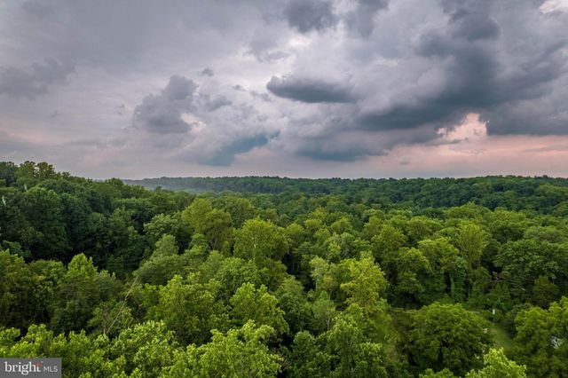 a view of a bunch of trees