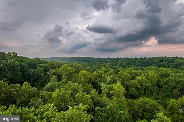 a view of a bunch of trees