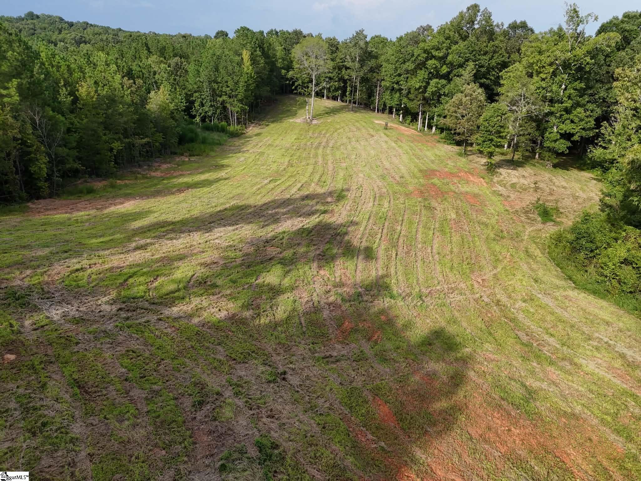 335 Old Ferry Rd Union Union, SC 29379 - Photo 9 of 18 Gallery Image 9