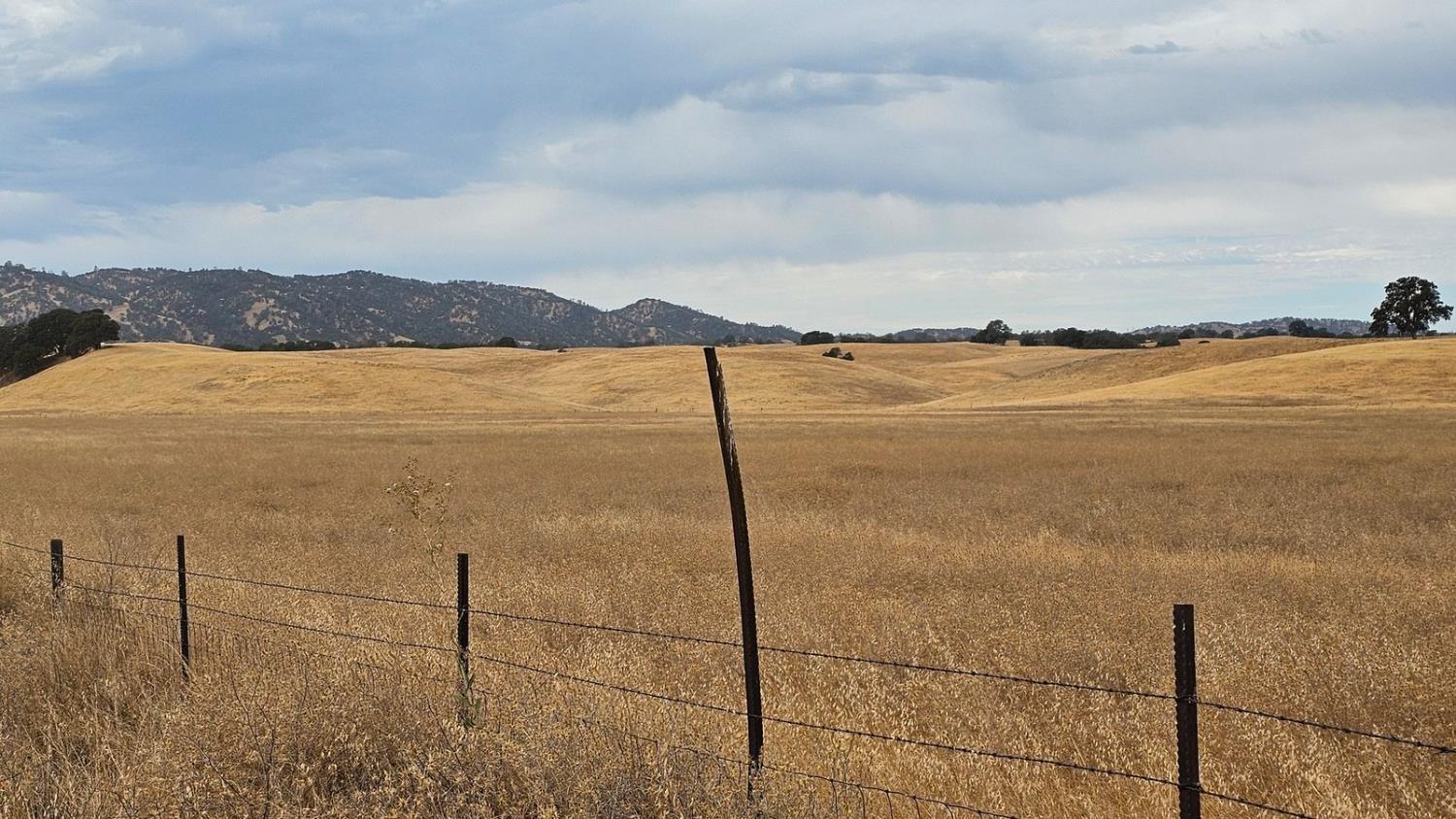 11 West County Road 11 Capay, CA 95607 - Photo 1 of 7