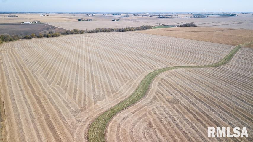 0 North Ryan Road Delavan, IL 61734 - Photo 2 of 6
