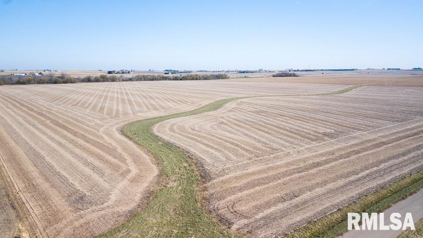 0 North Ryan Road Delavan, IL 61734 - Photo 5 of 6