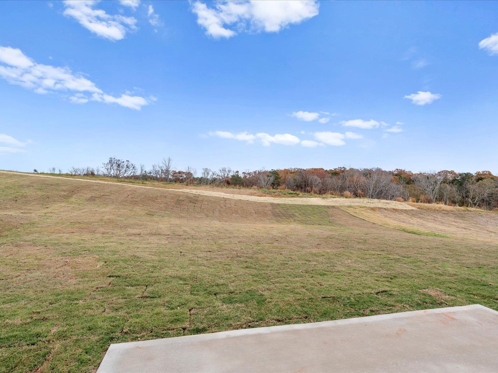 207 Lavinia Circle Duncan, SC 29334 - Photo 30 of 35