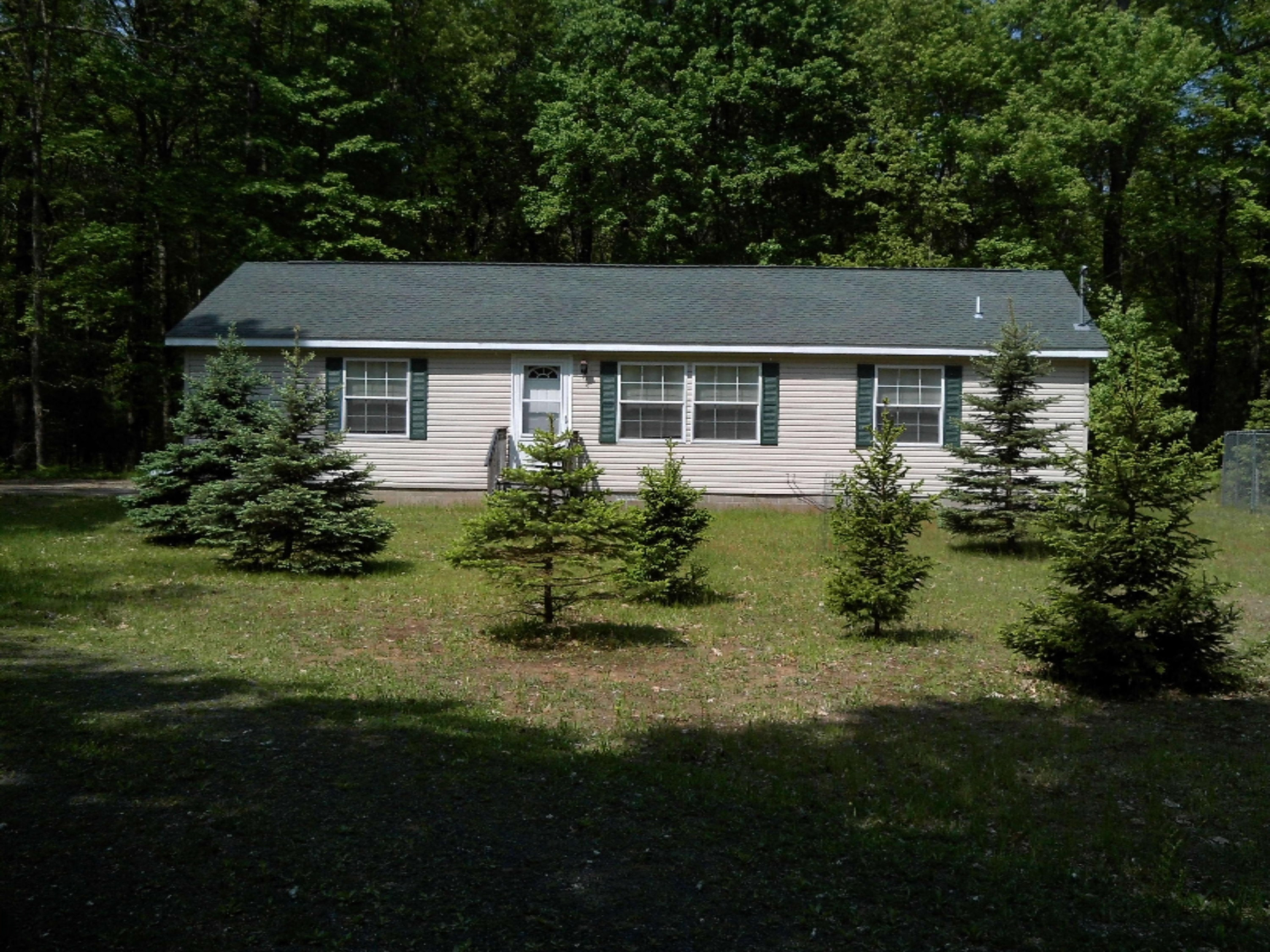 3927 South Forman Road Baldwin, MI 49304 - Photo 1 of 12 IMG_0014