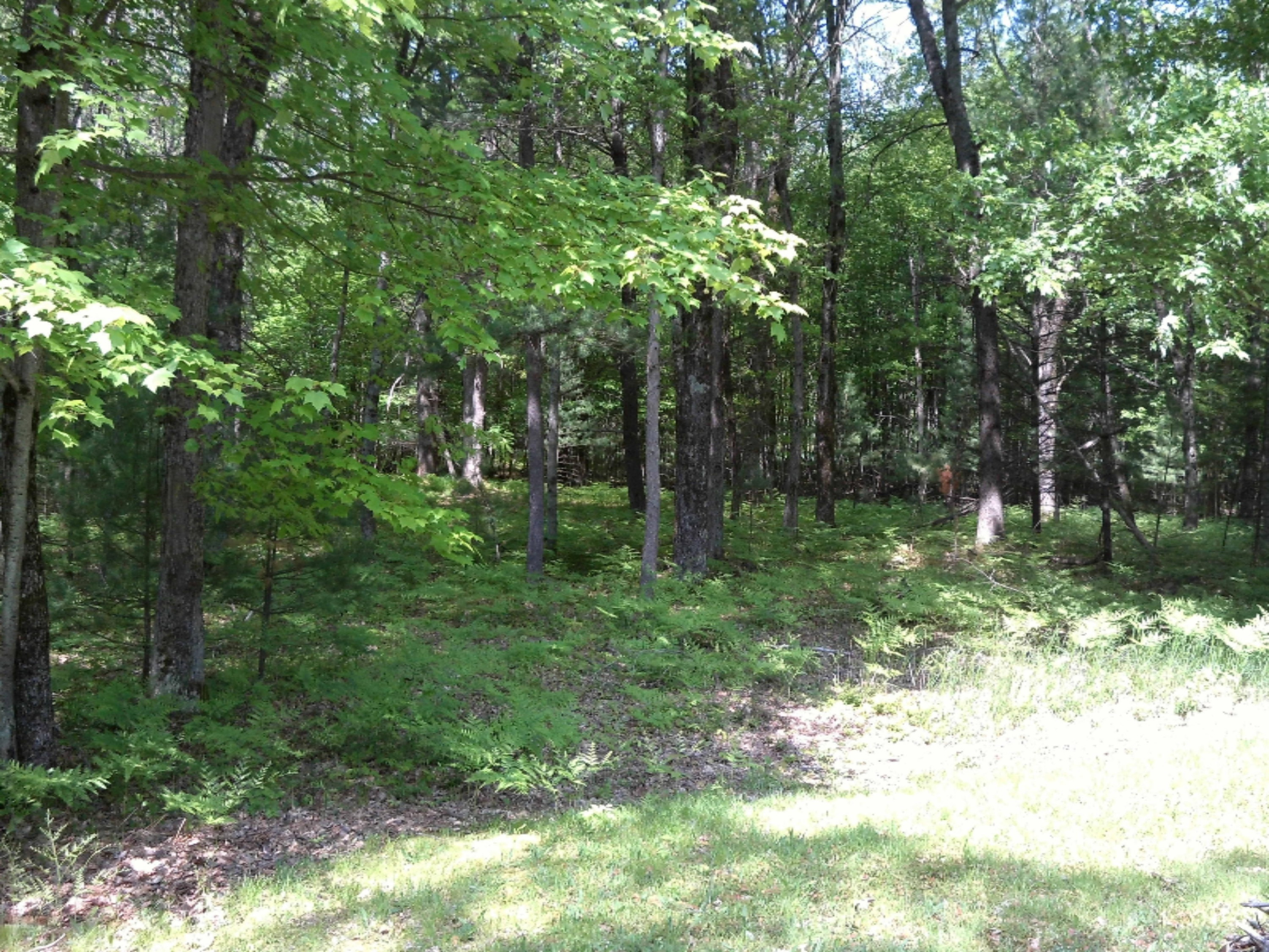 3927 South Forman Road Baldwin, MI 49304 - Photo 12 of 12 IMG_0011
