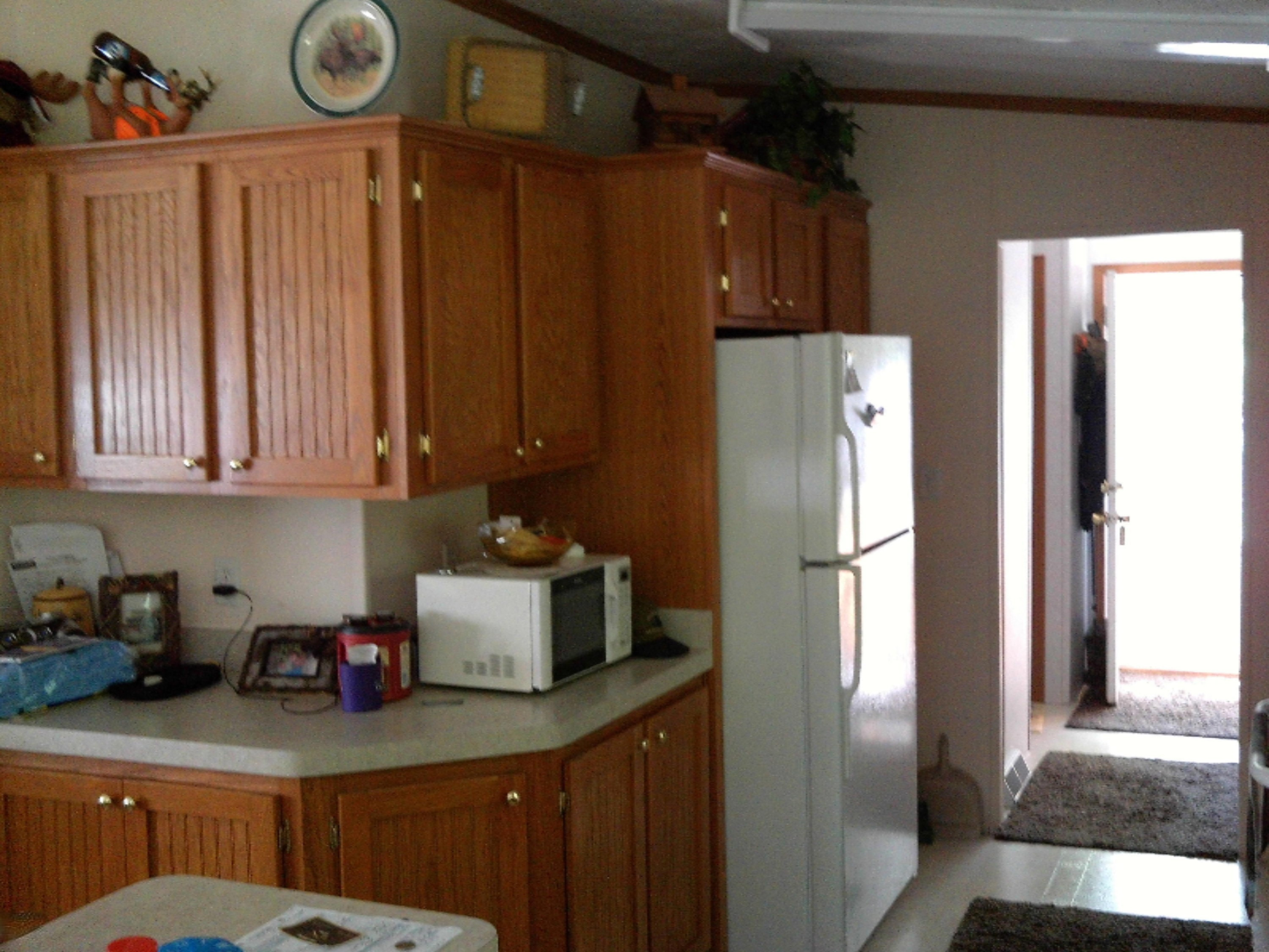 3927 South Forman Road Baldwin, MI 49304 - Photo 4 of 12 IMG_0010