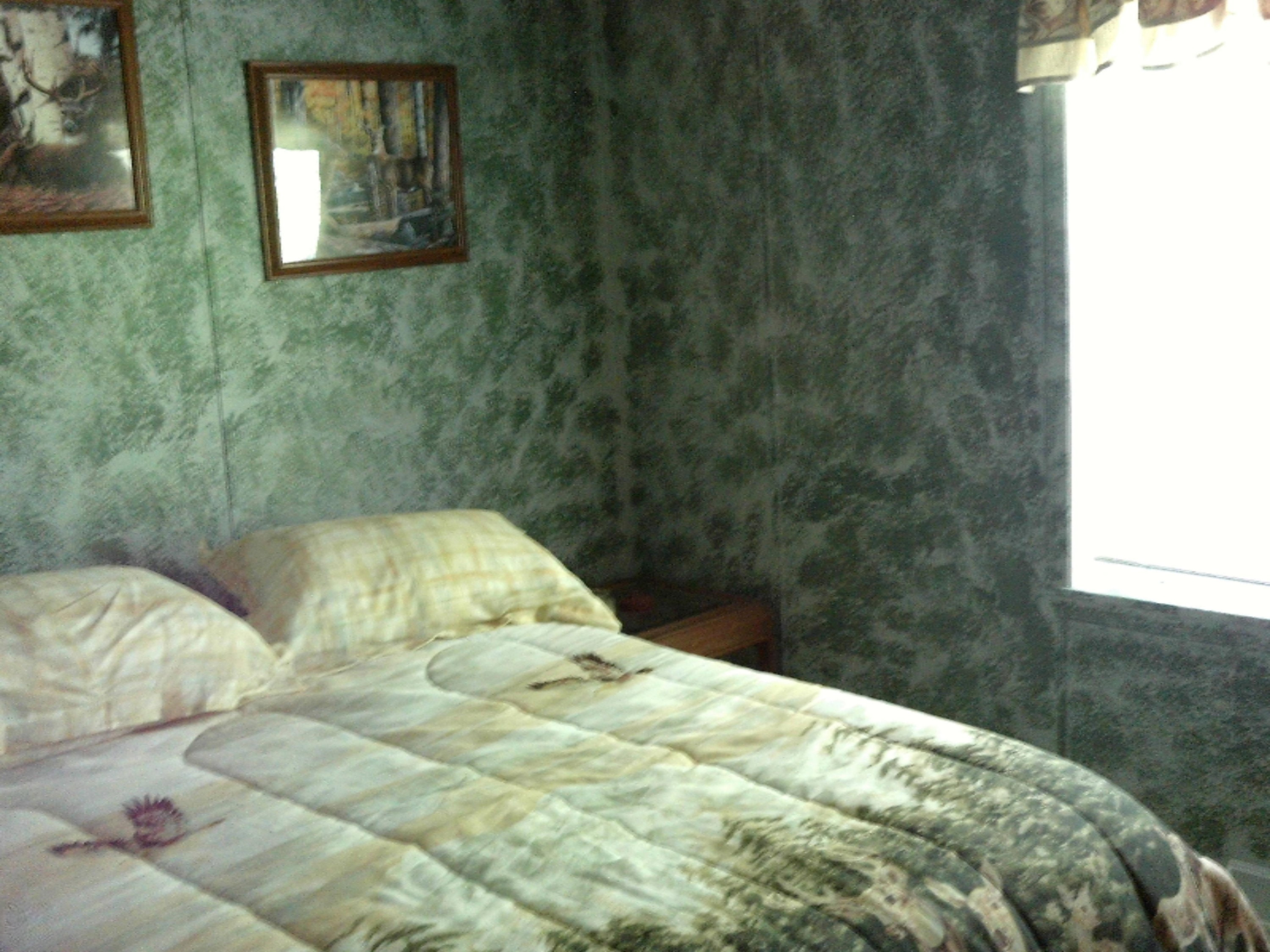 3927 South Forman Road Baldwin, MI 49304 - Photo 9 of 12 IMG_0008