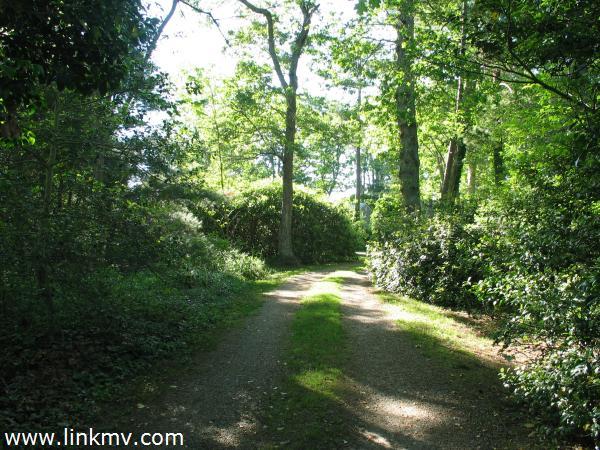 329 State Road West Tisbury, MA 02568 - Photo 2 of 27 http://d1qzqeyxiitrap.cloudfront.net/photos/19824/600/c8f9b613.jpg