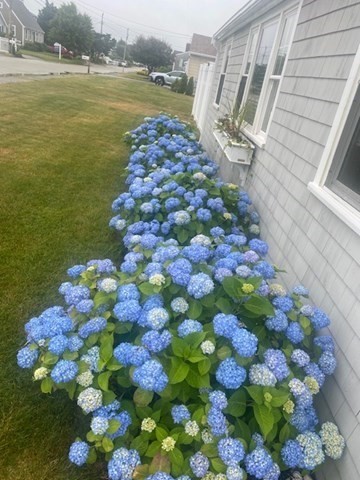 172 Ridge Road Marshfield, MA 02050 - Photo 5 of 41 Gallery Image 5