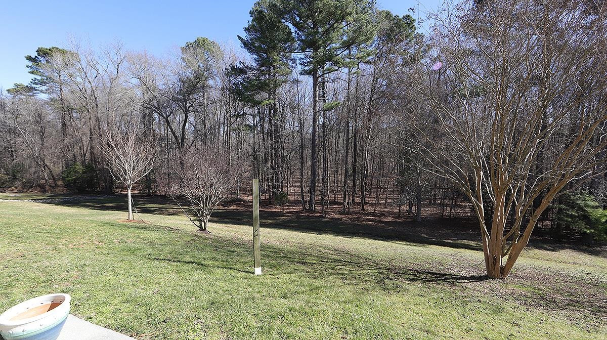 3006 Settle In Lane Raleigh, NC 27614 - Photo 14 of 15 View from Patio