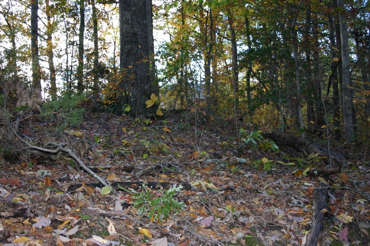 Lot 1 Under The Mtn Road Cosby, TN 37722 - Photo 2 of 8 lot pic