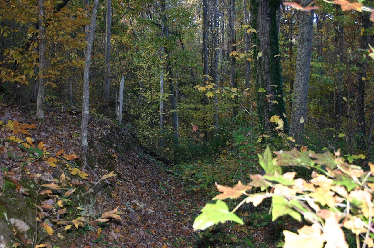 Lot 1 Under The Mtn Road Cosby, TN 37722 - Photo 4 of 8 lot pic