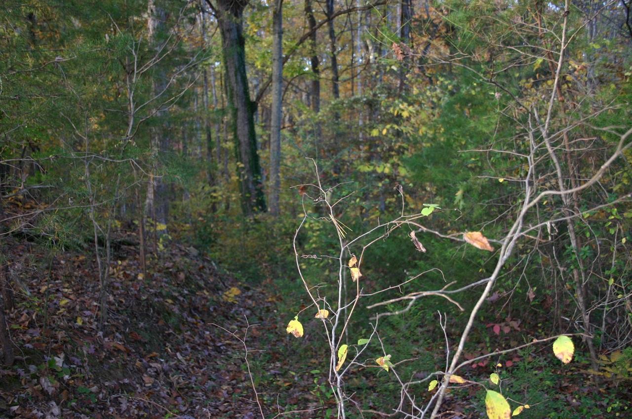 Lot 1 Under The Mtn Road Cosby, TN 37722 - Photo 5 of 8 lot pic