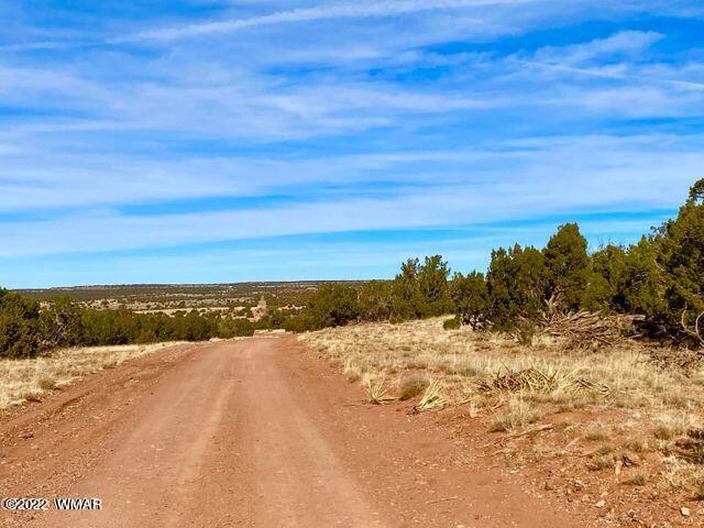 4173 Rock Road Show Low, AZ 85901 - Photo 2 of 7