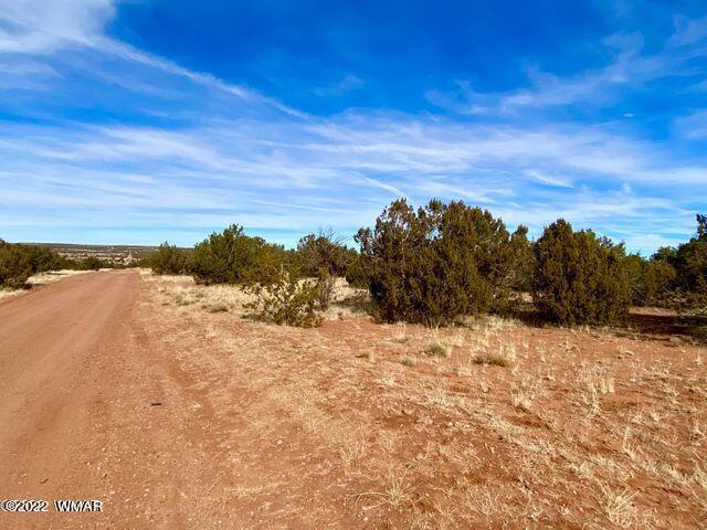 4173 Rock Road Show Low, AZ 85901 - Photo 3 of 7