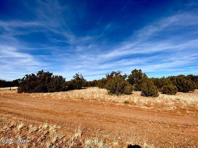 4173 Rock Road Show Low, AZ 85901 - Photo 5 of 7