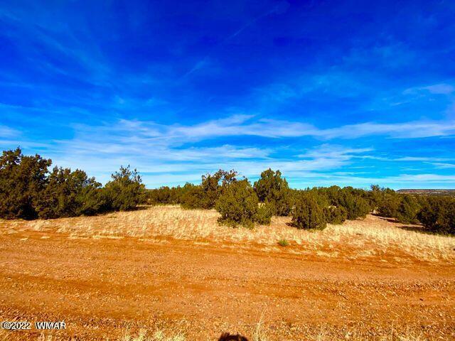 4173 Rock Road Show Low, AZ 85901 - Photo 6 of 7