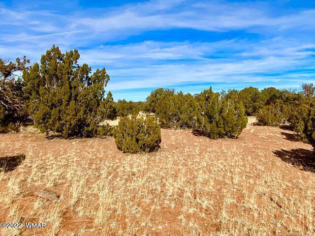 4173 Rock Road Show Low, AZ 85901 - Photo 7 of 7