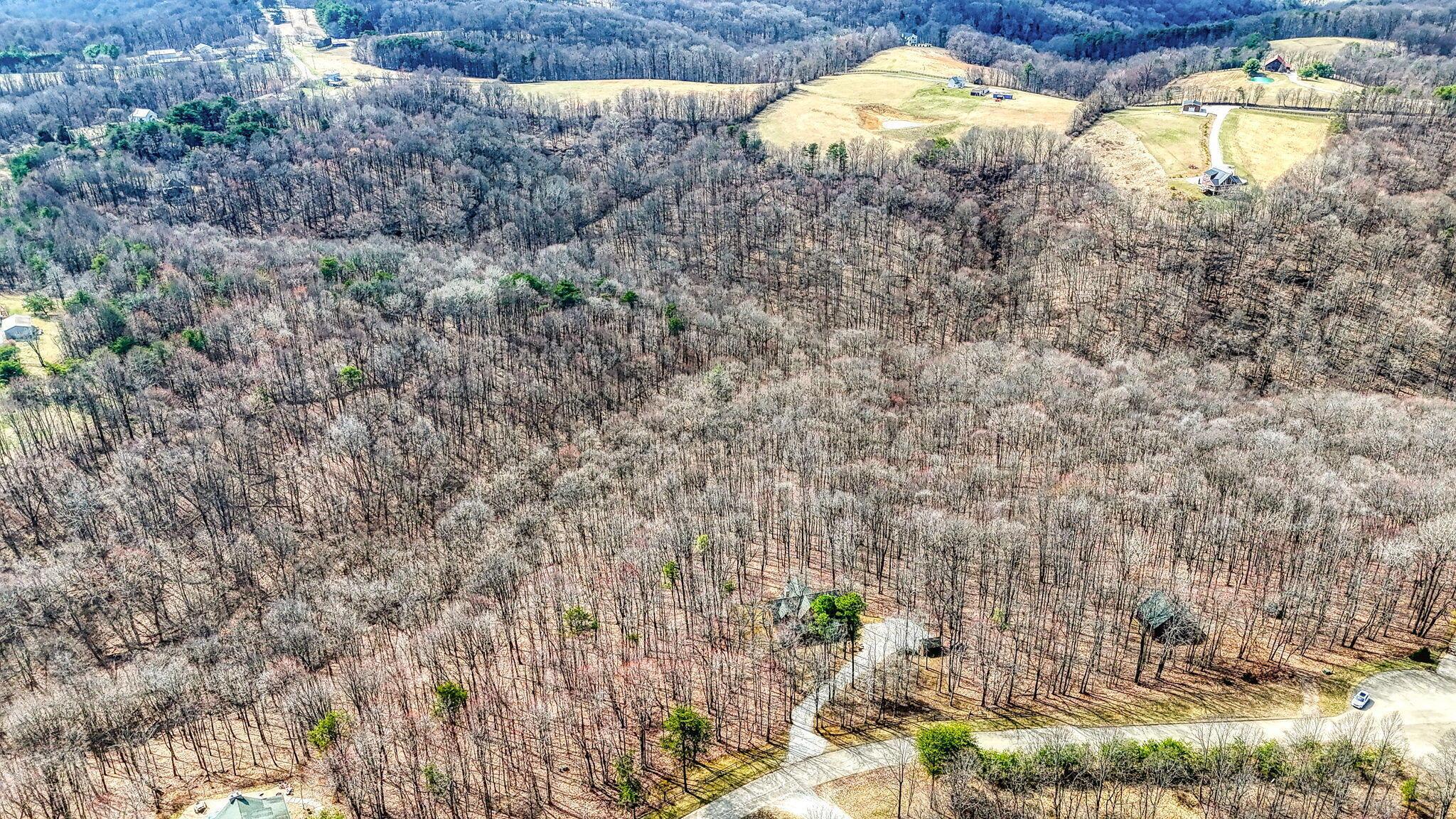 11773 Woodland Ridge Road Rockbridge, OH 43149 - Photo 11 of 13 11773 Woodland Ridge Rd (16)